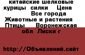 китайские шелковые курицы (силки) › Цена ­ 2 500 - Все города Животные и растения » Птицы   . Воронежская обл.,Лиски г.